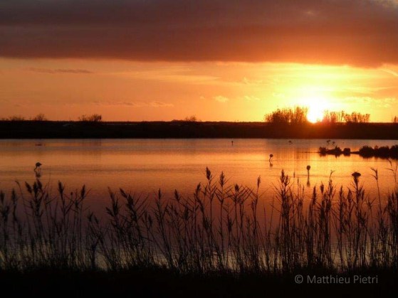 Coucher de Soleil Giens